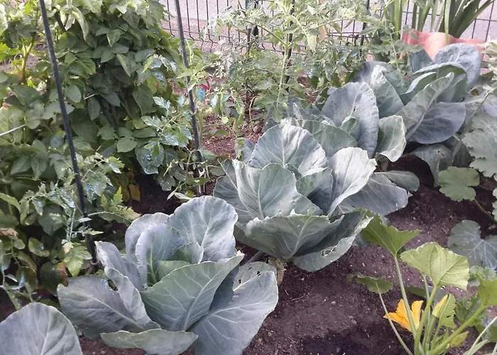 Jolie Centre En Direction De Foix A 25 Km De Toulouse Homestay *